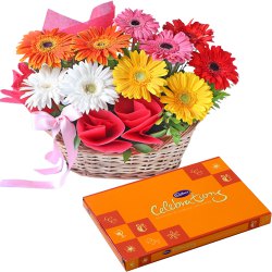 Brilliant Mixed Gerberas Basket & Cadbury Celebrations Combo
