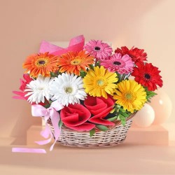 Fashionable Mixed Gerberas Basket
