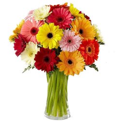 Color Coordinated Arrangement of Gerberas in Glass Vase