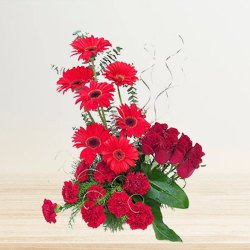 Striking Gerberas with Roses & Carnations Bouquet