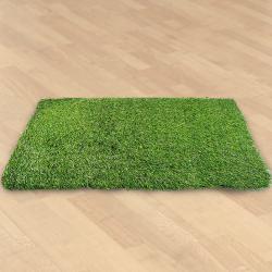 Amazing Home Rectangular Artificial Polyester Grass Doormat to Hariyana