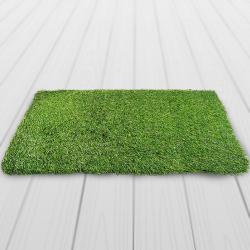 Magnificent Handtex Home Rectangular Artificial Polyester Grass Doormat to Lakshadweep