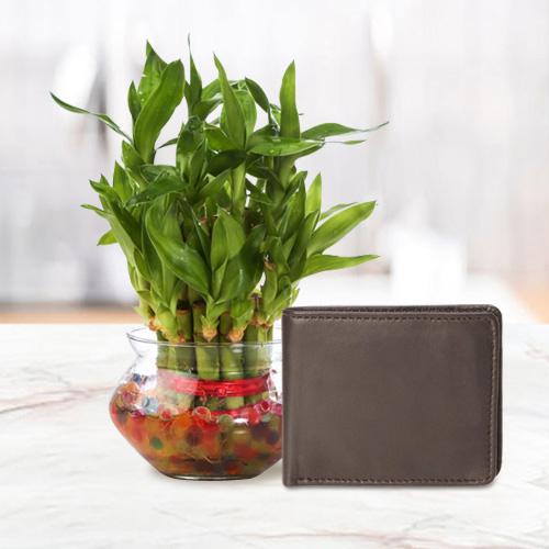 Lucky Mens Brown Leather Wallet from Rich Born wit... to Nipani