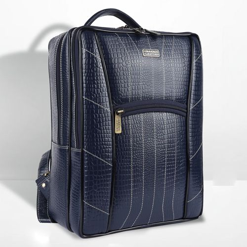 Splendid Leather Laptop Backpack to Nipani