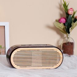 Amazing Mobile Sound Amplifier with Spotify Plaque to Chittaurgarh