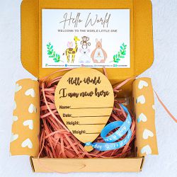 Exclusive Hello World Plaque for Newborn to Palai