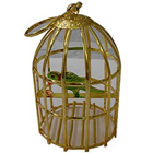 Wonderful Golden Plated Bird Cage with Colorful Parrot to Uthagamandalam