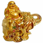 Amazing Laughing Buddha Sitting on Elephant to Rajamundri