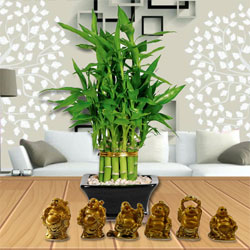 Elegant Moms Day Gift of 2 Tier Bamboo Plant N Laughing Buddha Set to Perintalmanna