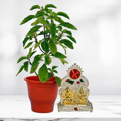 Graceful Arrangement of Holy Tulsi Plant with Laxmi Ganesh Mandap