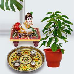 Attractive Combo of Holy Tulsi Plant N Puja Greeting Hamper