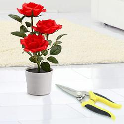 Blossom-Filled Red Rose Planter N Pruning Scissor Dual Gift to Irinjalakuda
