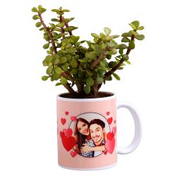 Miniature Jade Plant in Customize Mug
