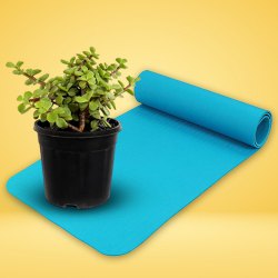Breath Fresh - Jute Wrap Jade Plant n Yoga Mat Duo to Ambattur