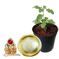 Good Wishes Tulsi Plant with Pooja Thali n Mandap Trio to Uthagamandalam