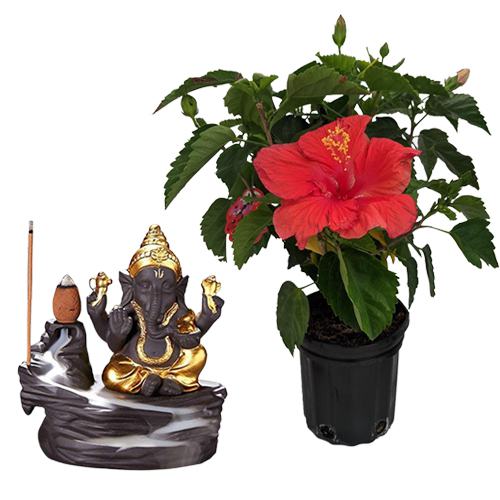 Exotic Hibiscus Plant n Bal Ganesha Idol Duo to Nipani
