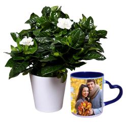 Send Love with Jasmine Plant n Customize Mug Set