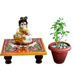 Holy duo of Tulsi Plant n Marble Krishna Chowki to Uthagamandalam