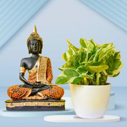 Air Purifying Golden Pothos Plant with Beautiful Buddha Idol