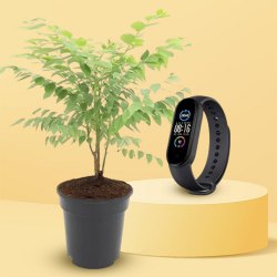 Amla Plant N Fitness Tracker Combo