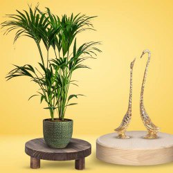 Enchanting Gift of Kentia Palm Plant with Metal Love Birds Showpiece