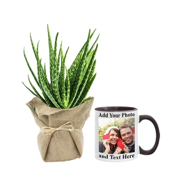 Wonderful Jute Wrapped Aloe Vera Plant N Personalize Coffee Mug Combo