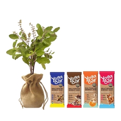 Exotic Jute Wrapped Tulsi Plant N Yoga Bar Combo Gift Set