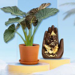Gorgeous Elephant Ear Plant N Handcrafted Palm Ganesha Set