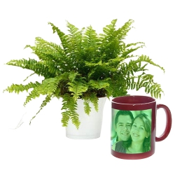 Distinctive Combo of Fern Indoor Plant N Personalized Radium Mug