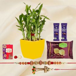 Beautiful 2 Tier Bamboo Plant N Bhaiya Bhabhi Rakhi