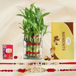 Popular Rakhi Set with 2 Tier Bamboo Plant
