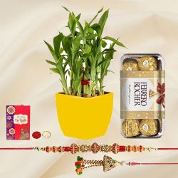 Traditional Raja Rani Rakhi N 2 Tier Bamboo Plant