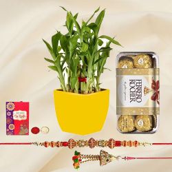 Traditional Raja Rani Rakhi N 2 Tier Bamboo Plant