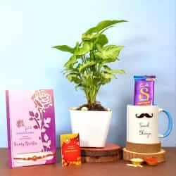 Plant Mug n Choco Treat with Om Rakhi