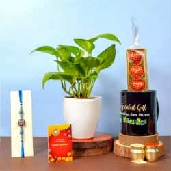 Fancy Rakhi with Money Plant N More