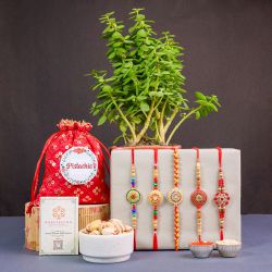 Festive Rakhi Set with Pistachios N Jade