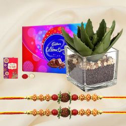 Eco Friendly Rakhi Gift