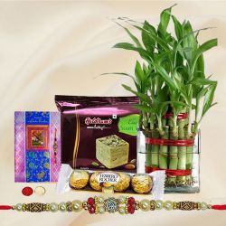 Eco Friendly Rakhi Assortment Gifts