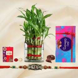 Impressive Pyare Bhaiya Rakhi N 2 Tier Bamboo Plant