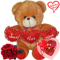 Lovely Brown Teddy with Velvet Rose N Chocolate Combo Gift