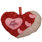 Wonderful Heart Shaped Cushion