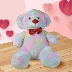 Beautiful Multicolor Teddy for Her