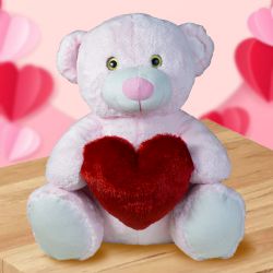 Cute Teddy Gift to Lakshadweep
