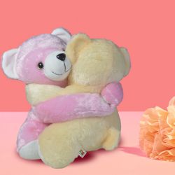 Sweet Hugging Teddy Gift to Alappuzha