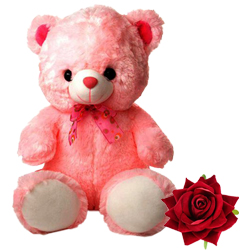 Gift this Big Teddy Bear to your loved ones. (30 inch) to India