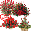 Biggest Love : Red Dutch Roses in Multi Basket 